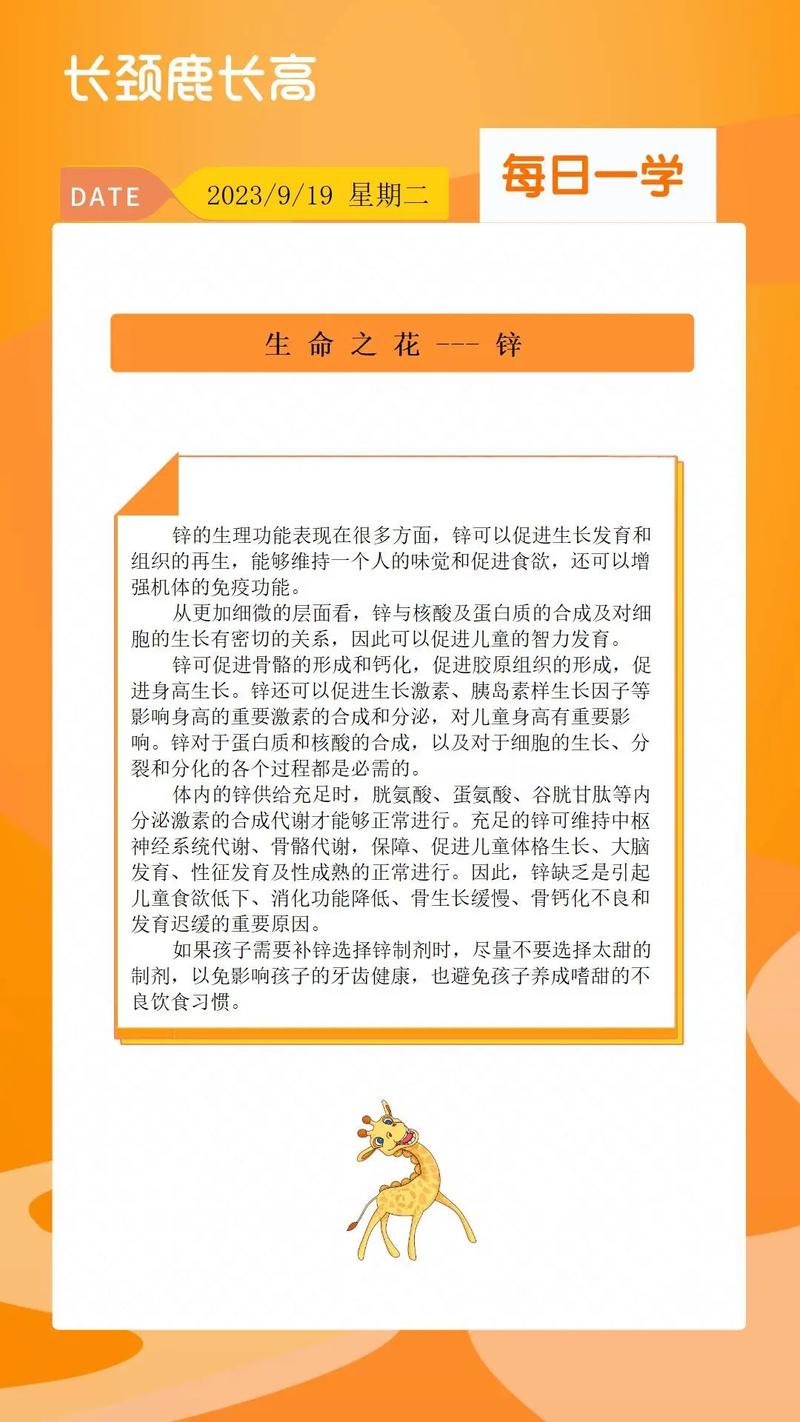 锌：生命之花的滋养者