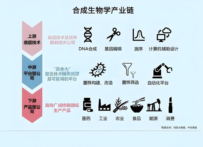 生物材料：自然与科技的交融