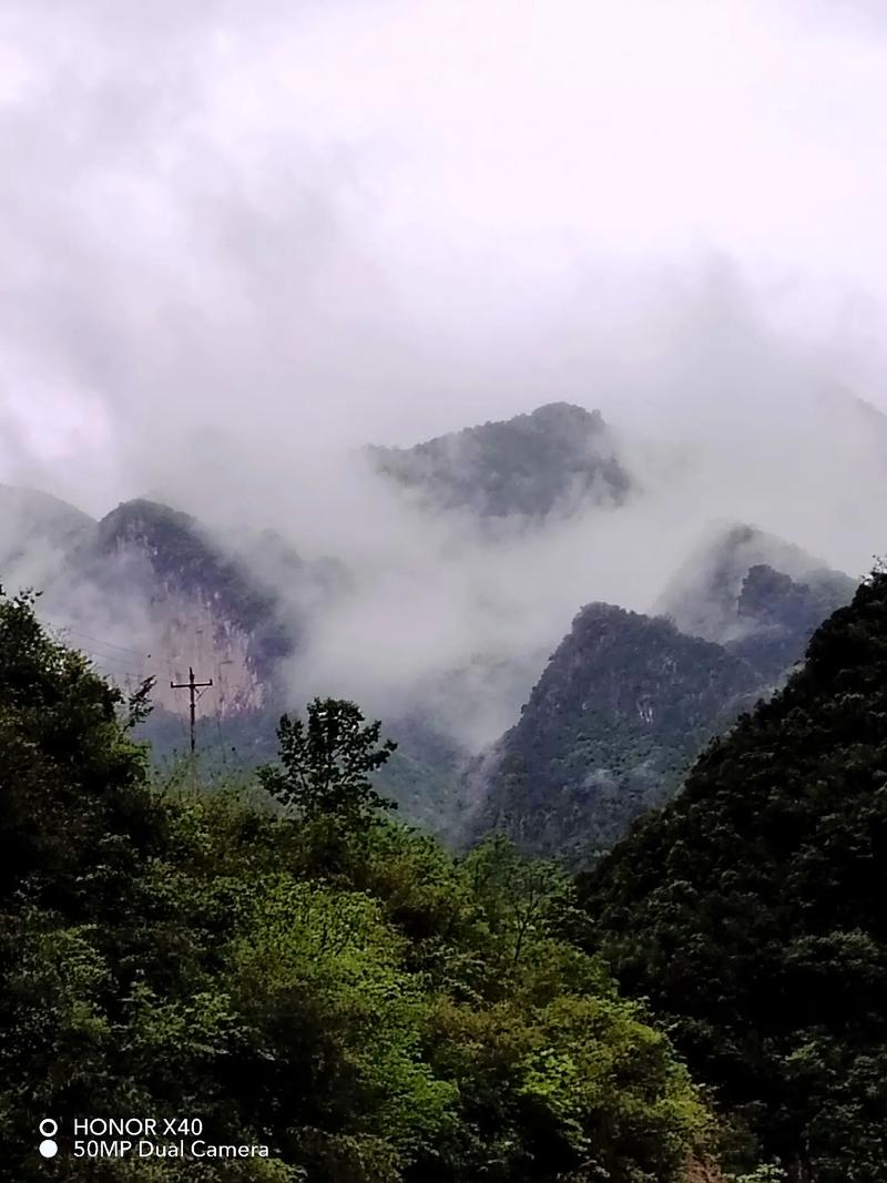 雾中山：探寻那神秘的自然奇境