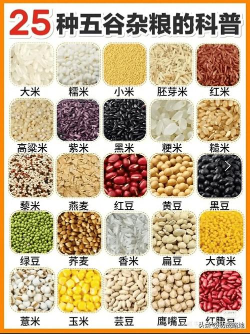 粗粮的营养宝库：探索健康饮食的新维度