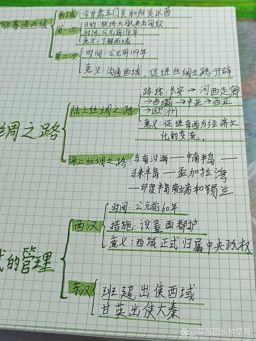 道路：承载历史与未来的脉络