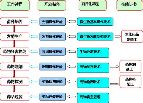 生物制药工艺：从基础到前沿的综合解析