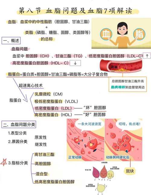 血脂：生命代谢的关键要素与健康指南