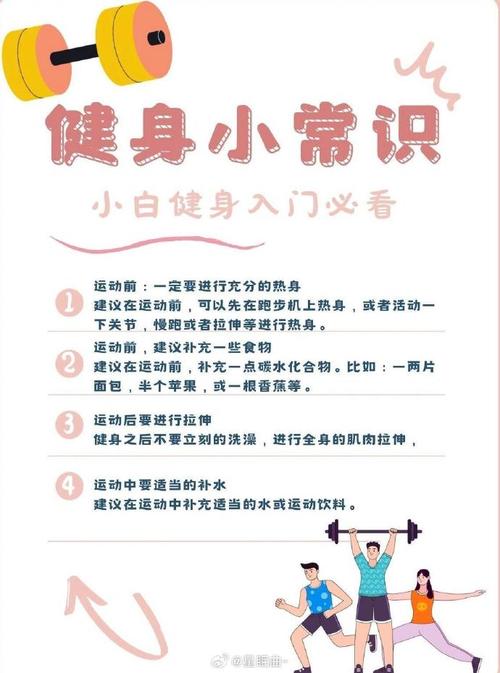 运动健身：打造健康体魄与积极心态的全面指南