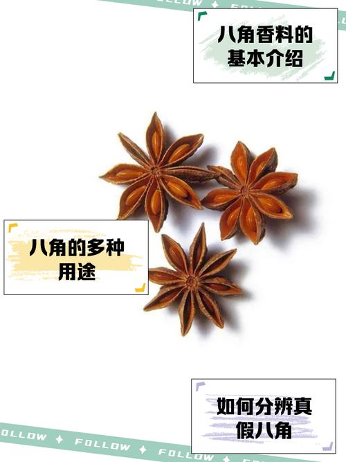 八角的奥秘与应用