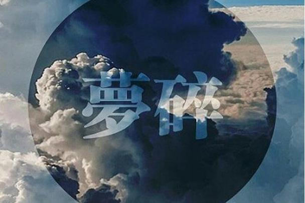 碎梦之殇：心在泪光里徘徊