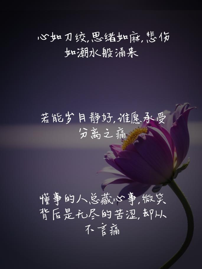 心碎往昔，泪洒流年