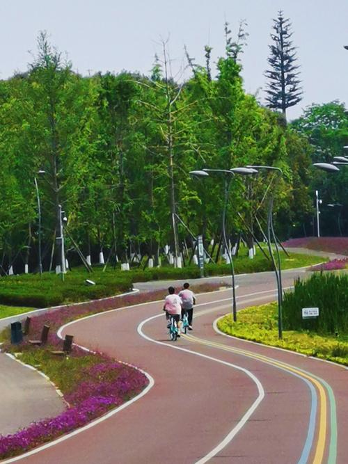 青龙湖湿地公园：成都的“城市绿肺”