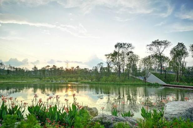 玉石湿地公园：城市中的自然绿洲，生态与艺术的完美融合