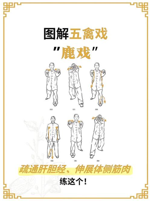 五禽戏：古老健身术的现代魅力