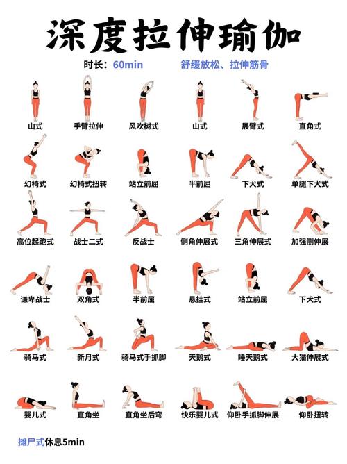 伸展运动：释放身心的优雅律动