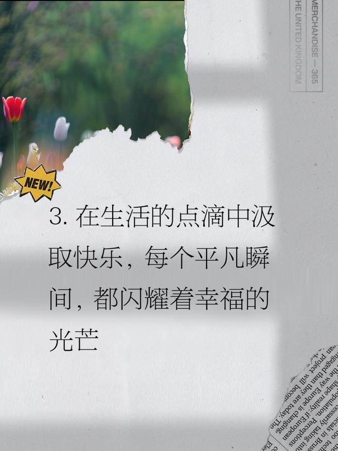 寻找快乐的真谛：在生活的点滴中绽放光彩