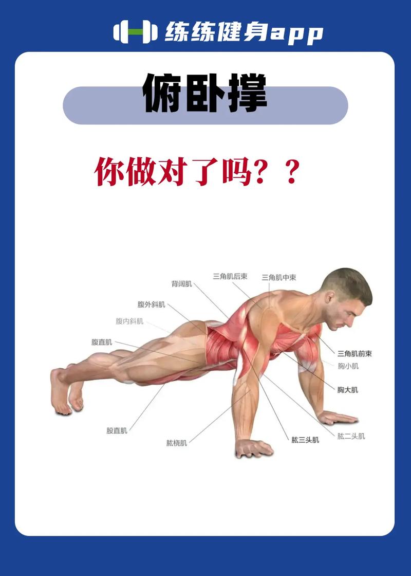 俯卧撑：简单动作中的健身奥秘与多元价值