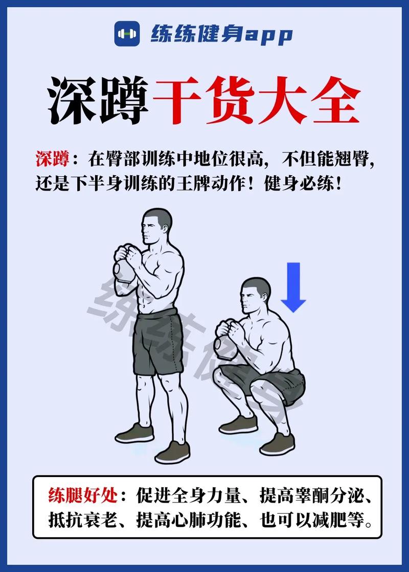 深蹲：锻炼的基石与艺术