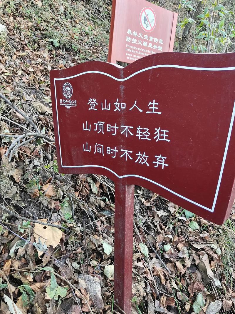 爬山：一场身心的修行与挑战