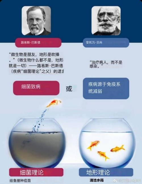包容：社会和谐的基石与个体成长的催化剂