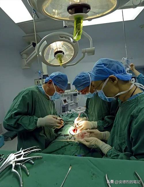 手术：生命线上的精细博弈