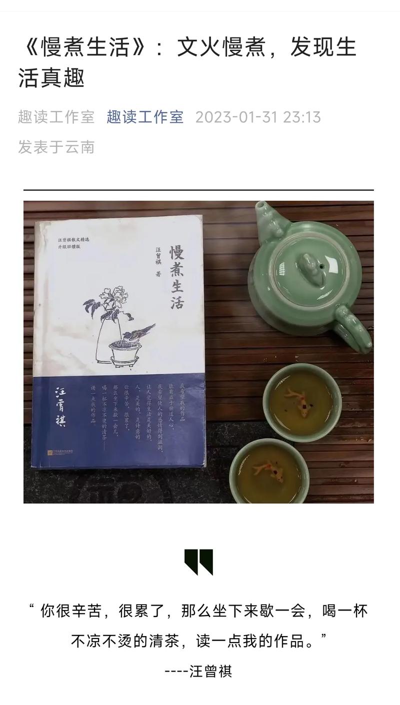 小火慢煎：生活中的诗意与智慧