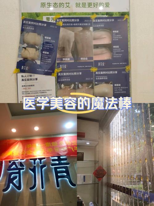 全面指南健康美容的秘诀与实践