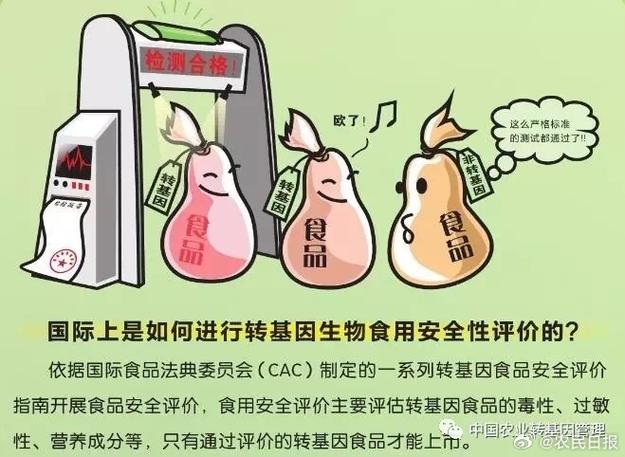 转基因食品：科技、安全与未来的全面解析
