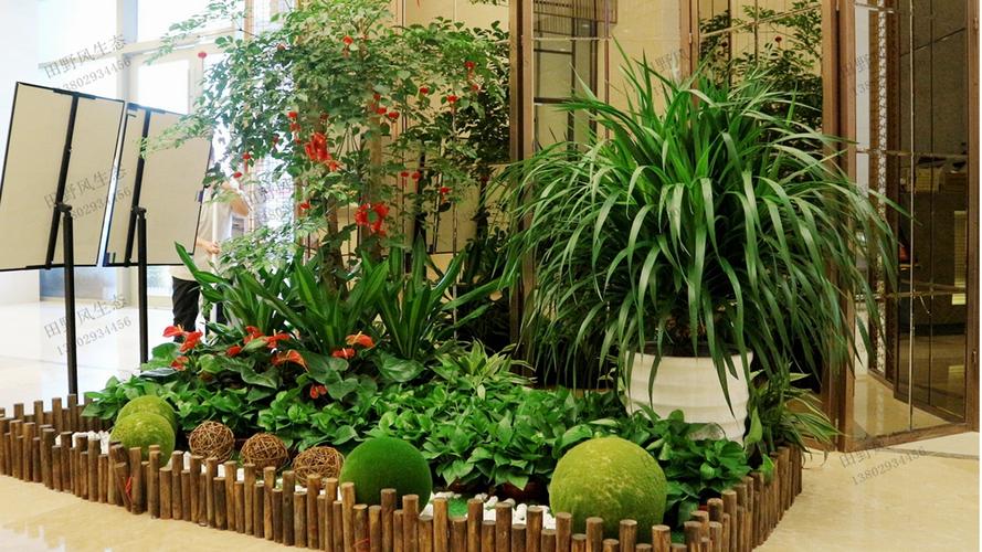绿植养护全攻略：打造室内绿色天地，畅享自然之美