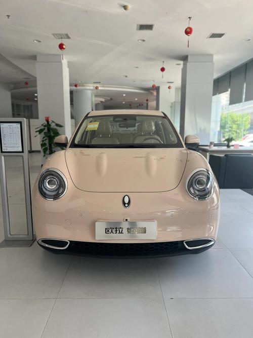 长城欧拉好猫：时尚与实用的完美融合