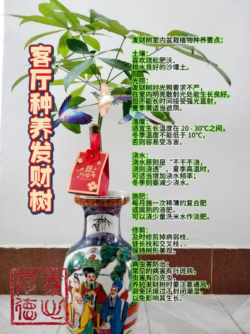 绿意盎然，财源滚滚——全面解读发财树的养护秘籍