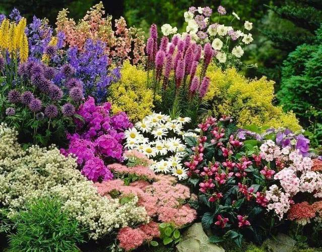 详细阅读:花卉种植:让生活绽放缤纷色彩 花卉种植:让生活绽放缤纷色彩