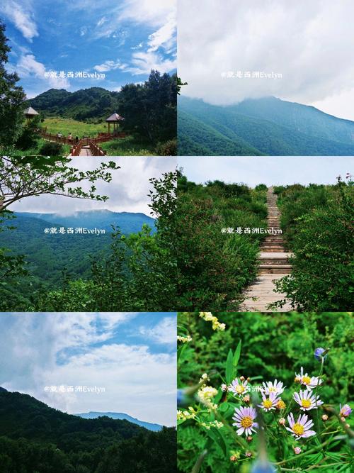百花山：自然之美与人文韵味的完美交融