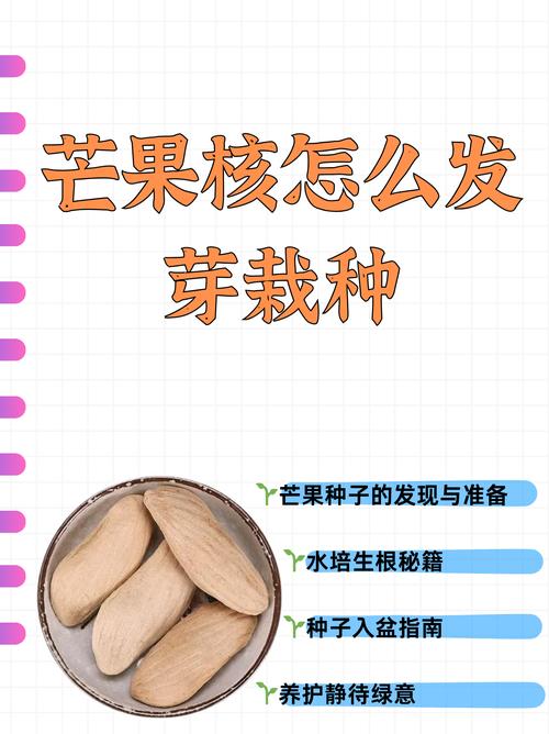芒果种植的奥秘与实践：从选种到丰收的全程指南