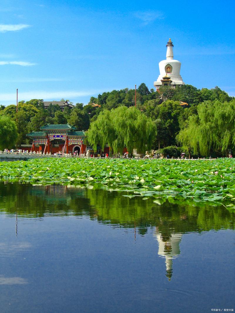 北坞公园：历史与现代交织的绿色瑰宝