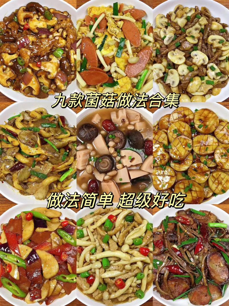 菌类美食做法大赏，领略自然馈赠的独特风味