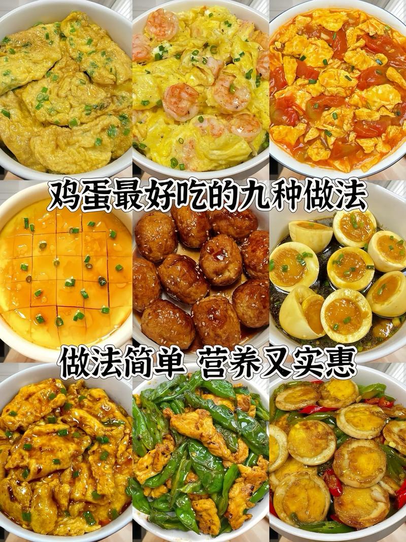 蛋类美食菜谱：探索蛋的多样美味