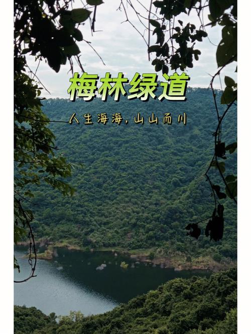 梅林水库绿道：城市中的自然诗篇
