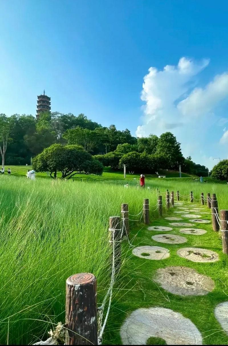 探秘红花山公园