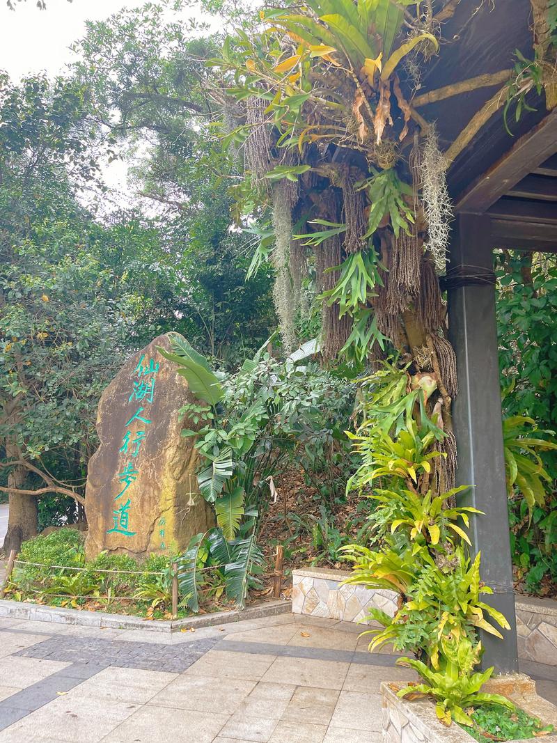 详细阅读:探秘深圳仙湖植物园:自然奇境,科学绿洲 探秘深圳仙湖植物园:自然奇境,科学绿洲
