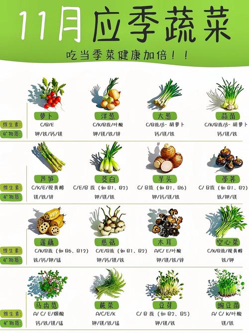 应季蔬菜：大自然馈赠的健康宝藏