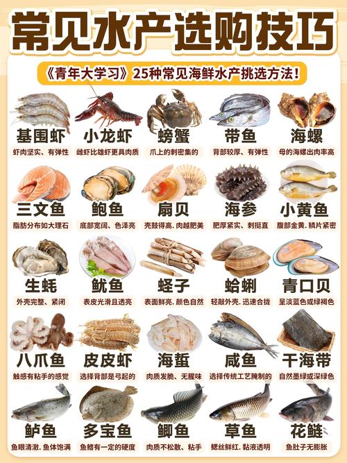 海鲜产地：探寻海洋馈赠的源头奥秘