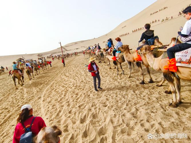 探秘神秘沙漠：一场独特而难忘的旅行体验
