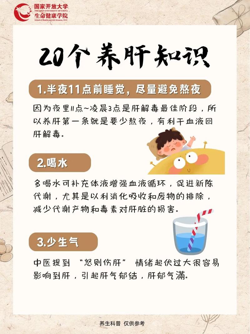 守护肝脏：全方位养生要点，为健康保驾护航