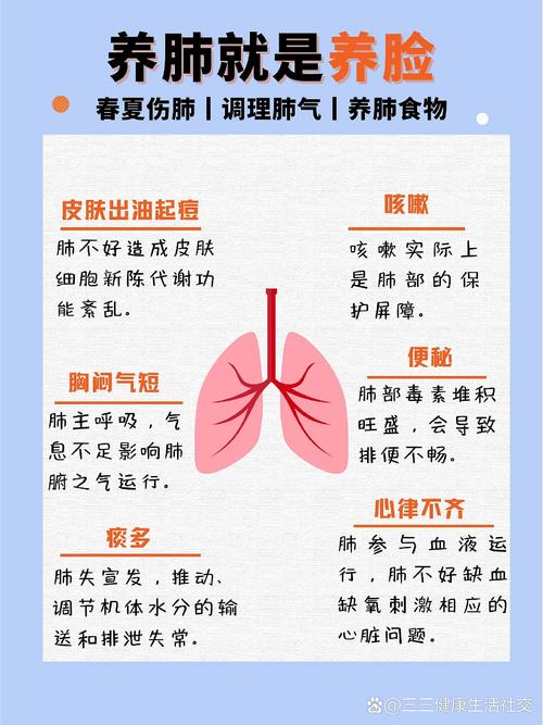 养肺养生方法：呵护肺部，畅享健康生活