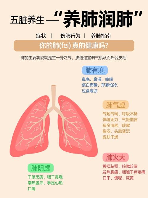 清肺养生：守护肺部健康的全方位攻略