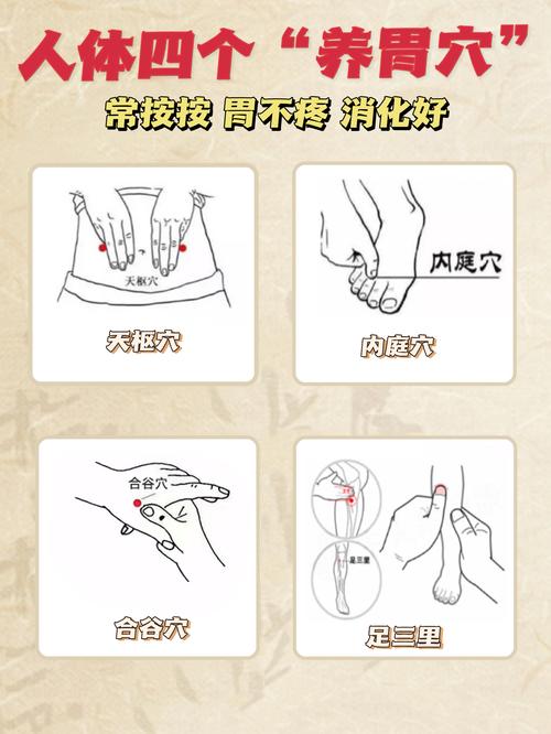 养胃养生方法