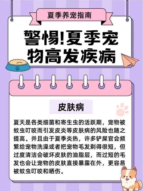 宠物健康警报：识别常见生病症状与应对策略