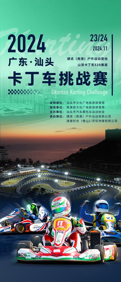 汽车赛事门票：开启热血激情的观赛之旅