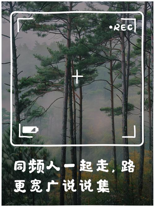 在时光的织网中，与友共绘斑斓画卷