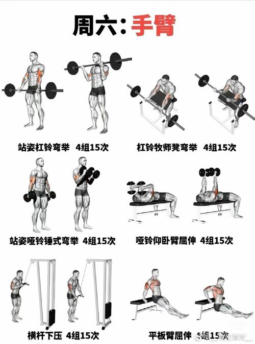 全面掌握杠铃训练技巧，塑造强健体魄