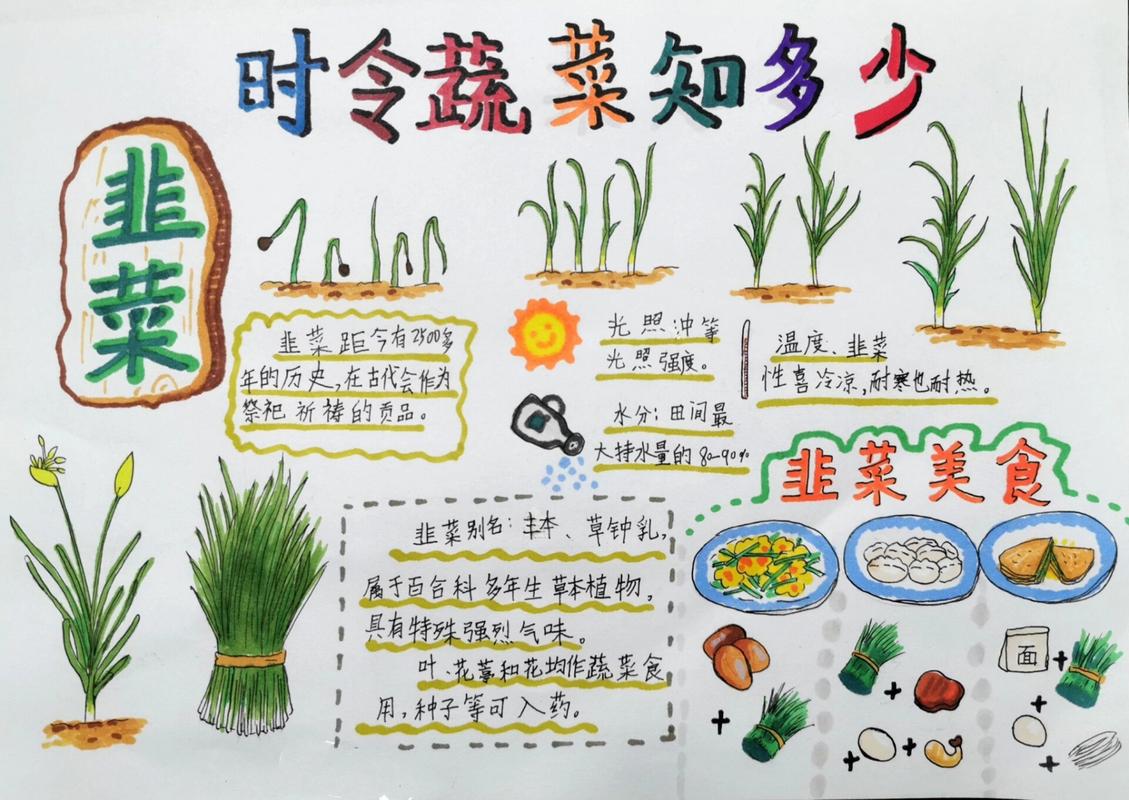 韭菜的绿色奇迹：从田间到餐桌的故事