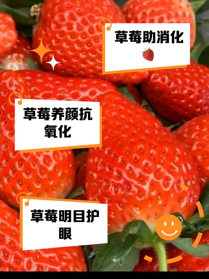 草莓：舌尖上的春日浪漫与营养瑰宝