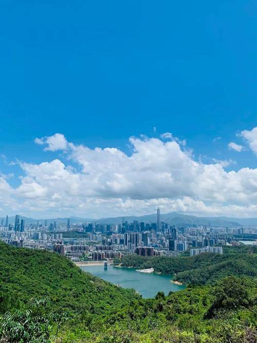 梅林山公园——城市中的自然绿洲